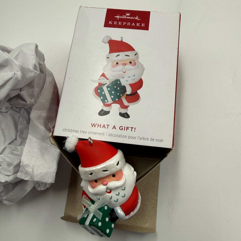 Hallmark Keepsake Ornament What A Gift 2024 Limited Edition